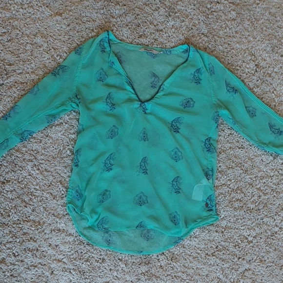 Sheer Blouse - Picture 1 of 7